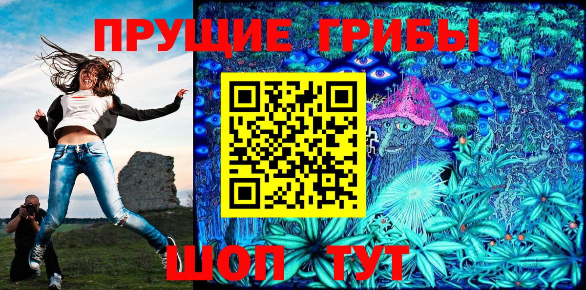 Псилоцибиновые грибы Psilocybe  Вход с VPN  Балахна  Псилоцибиновые грибы ЛСД 